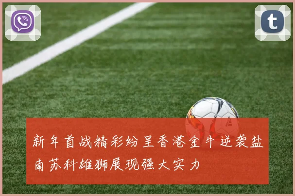 新年首战精彩纷呈香港金牛逆袭盐南苏科雄狮展现强大实力