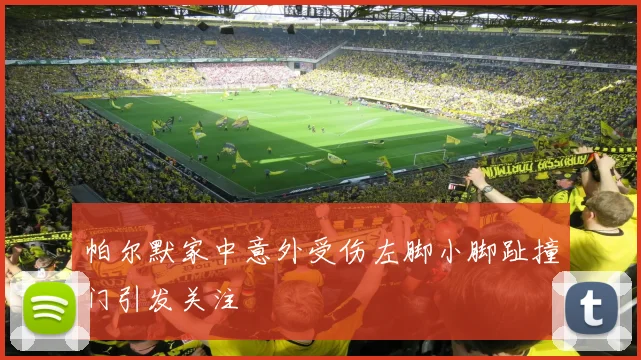 帕尔默家中意外受伤左脚小脚趾撞门引发关注