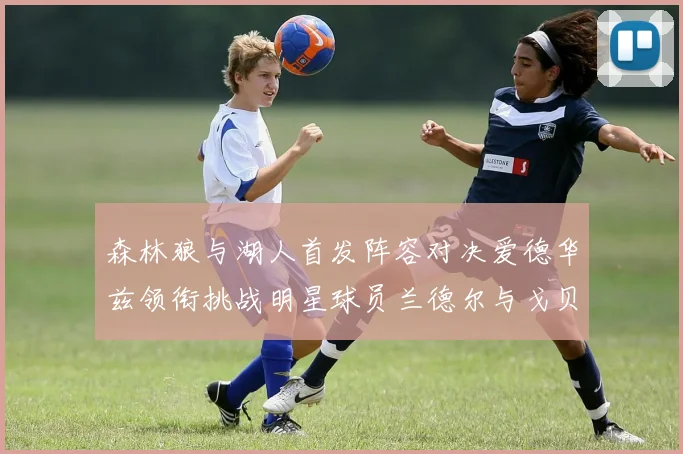 森林狼与湖人首发阵容对决爱德华兹领衔挑战明星球员兰德尔与戈贝尔