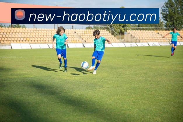 多媒体互动体验