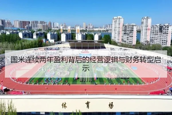 国米连续两年盈利背后的经营逻辑与财务转型启示（HaoBo）